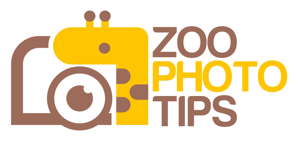 Zoo Photo Tips